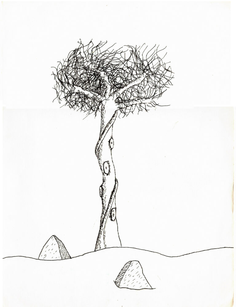 Dessin sur fond blanc d'un arbre dans le désert