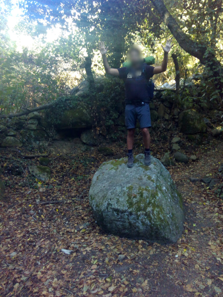 Une personne perchée sur un petit rocher dans la forêt qui semble invoquer les dieux