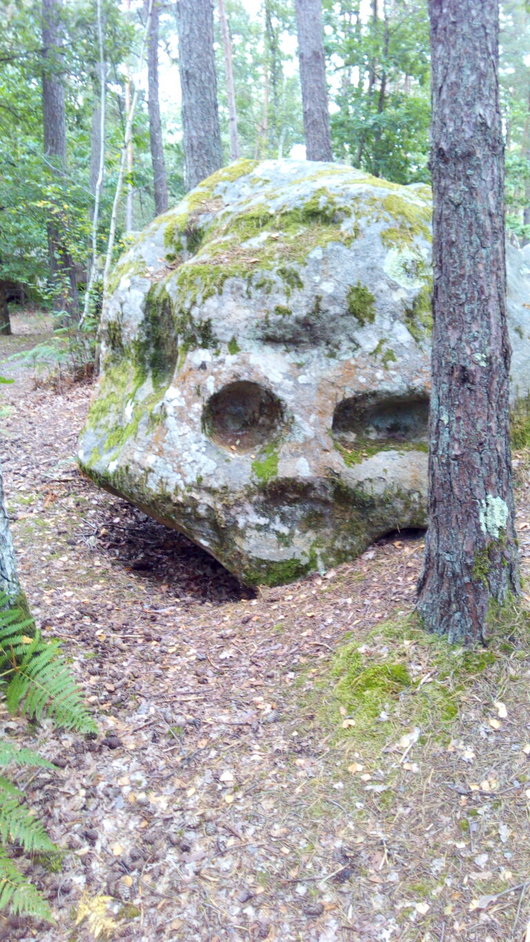 un rocher dans une forêt qui a un aspect de tête de mort