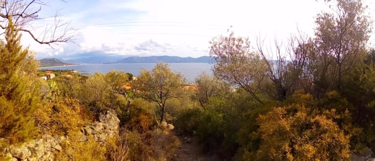 photo de la verdure proche de l'automne en Corse donnant sur la mer