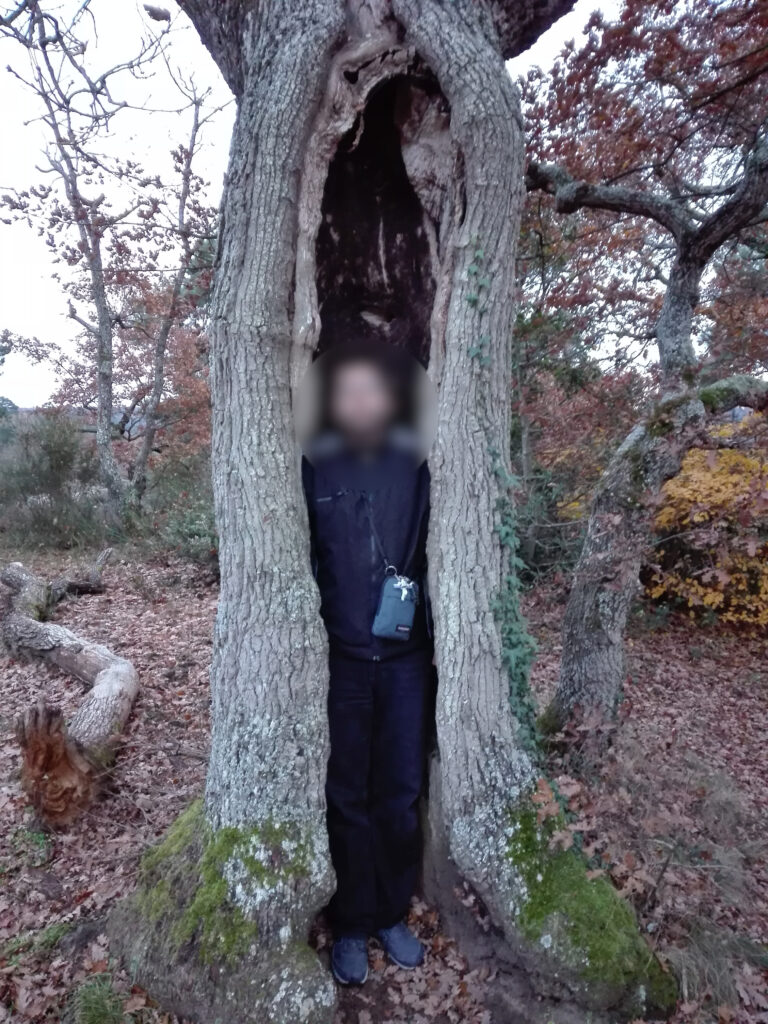 une personne dans un arbre creux dans une forêt en automne