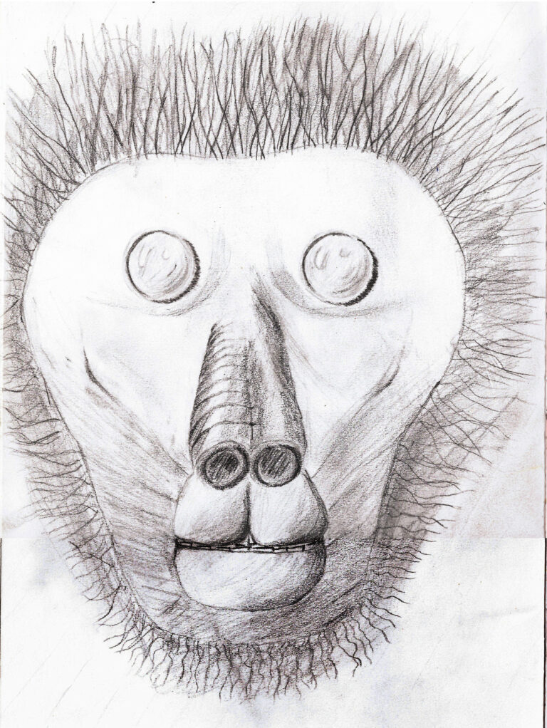 dessin d'un singe au crayon à papier