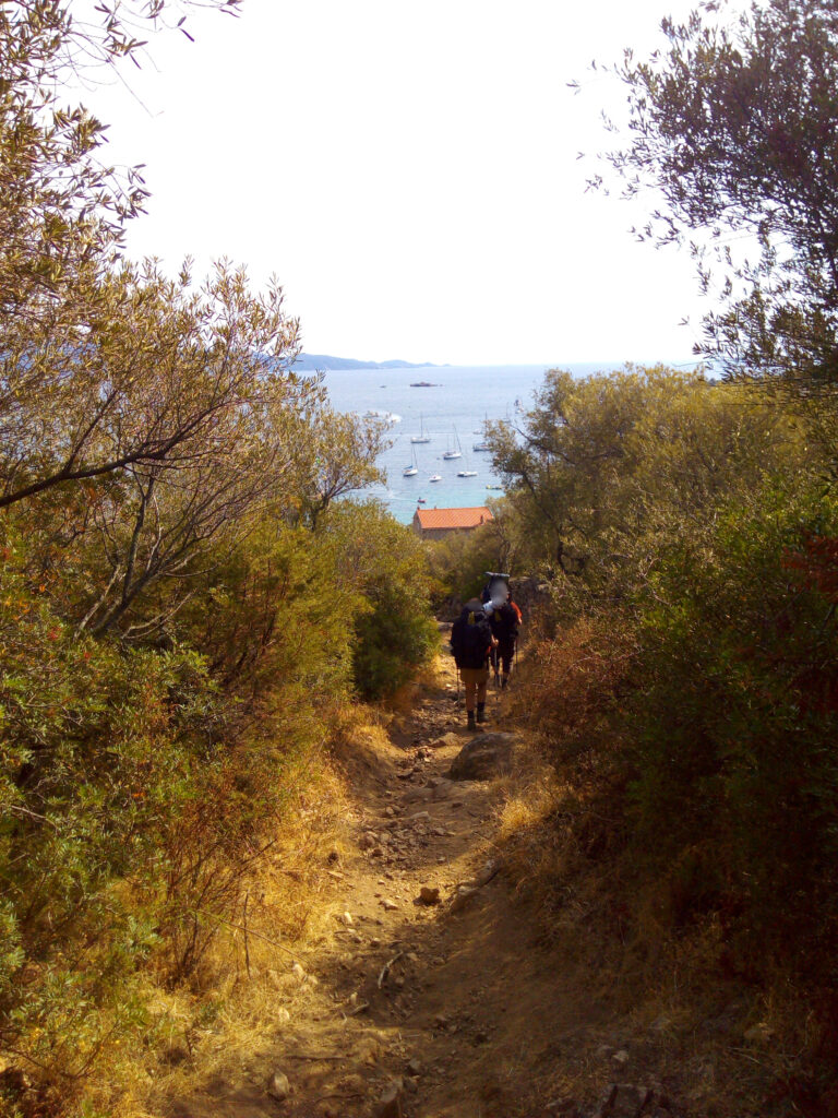 un chemin qui descend vers la mer entre les arbustes en Corse
