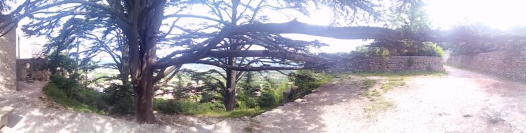 Paysages près de aix en provence avec deux vieux arbres au milieu de couloir en Pierre