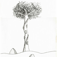 Dessin sur fond blanc d'un arbre dans le désert