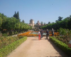 Photo de l'alcazar de Cordou au niveau du jardin