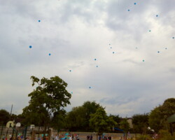 une vingtaine de ballons bleues qui s'envolent dans les airs au dessus d'une cours d'école avec des enfants