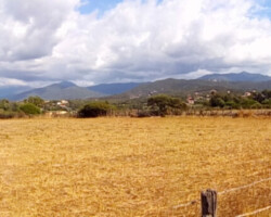 photo en plan large de l'horizon avec les montagnes au loin et un champs asséché derrière des barbelés