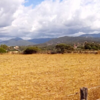 photo en plan large de l'horizon avec les montagnes au loin et un champs asséché derrière des barbelés