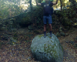 Une personne perchée sur un petit rocher dans la forêt qui semble invoquer les dieux