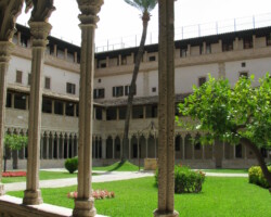 cloitre d'une abbaye à Majorque, avec un palmier au milieu