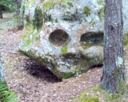 un rocher dans une forêt qui a un aspect de tête de mort