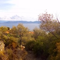 photo de la verdure proche de l'automne en Corse donnant sur la mer