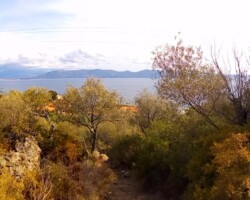 photo de la verdure proche de l'automne en Corse donnant sur la mer