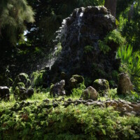 fontaine en pierre au milieu de la verdure d'un parc