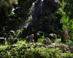 fontaine en pierre au milieu de la verdure d'un parc
