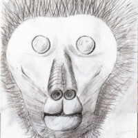 dessin d'un singe au crayon à papier
