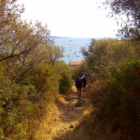 un chemin qui descend vers la mer entre les arbustes en Corse